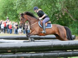 IMG_8260_web